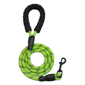 Heavy-Duty Reflective Dog Leash for All Sizes – Strong, Durable Leash for Big, Medium, and Small Dogs