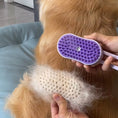 Bild in Galerie-Betrachter laden, Pet Electric Spray Comb – One-Key Spray Hair Removal & Massage Brush for Cats and Dogs
