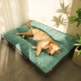 Bild in Galerie-Betrachter laden, PawParadise Large Pet Bed - Soft Corduroy Sleeping Mat with Washable Cover
