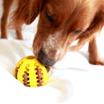 Load image into Gallery viewer, Bite-Resistant Dog Toy Ball – Interactive Treat Feeder for Puppy Training & Dental Health
