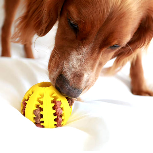 Bite-Resistant Dog Toy Ball – Interactive Treat Feeder for Puppy Training & Dental Health