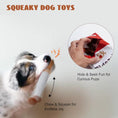 Bild in Galerie-Betrachter laden, Funny Cigarette Dog Toy – Interactive Plush Chew Toy with Giggles for Playful Pets
